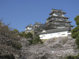 100405a.jpg