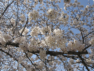 100405b.jpg