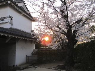 100405c.jpg
