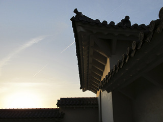 100405d.jpg