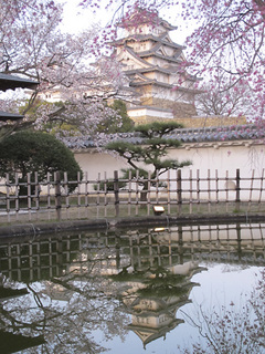 100405e.jpg