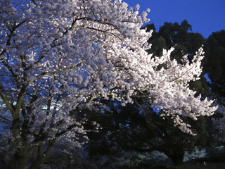 100410b.jpg
