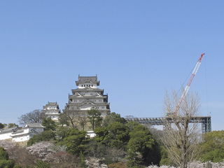 100410e.jpg