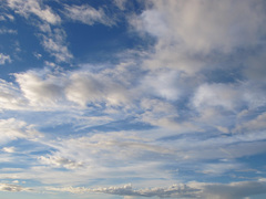 20120917b.jpg