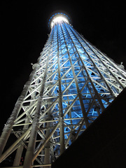 20130126b.jpg