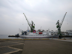 20140301a.jpg