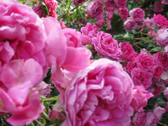 20140525b.jpg