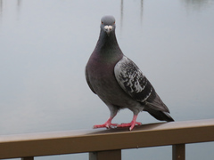 20140628b.jpg