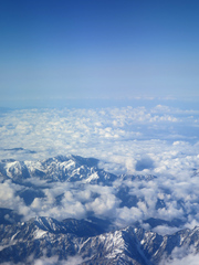 20141111a.jpg