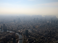 20141213d.jpg
